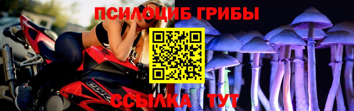 Псилоцибиновые грибы Psilocybe  Вход с VPN  Галлюциногенные грибы прущие грибы  Добрянка 